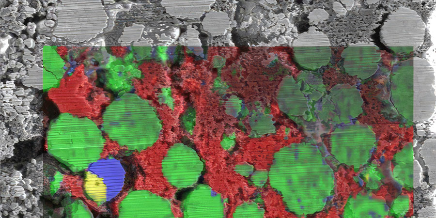 Microscopy and Imaging Platforms
